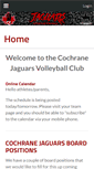 Mobile Screenshot of jaguarsvolleyball.ca